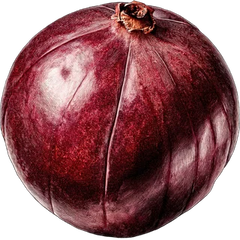 Maninka